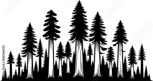 redwood tree line art silhouette vector illustration