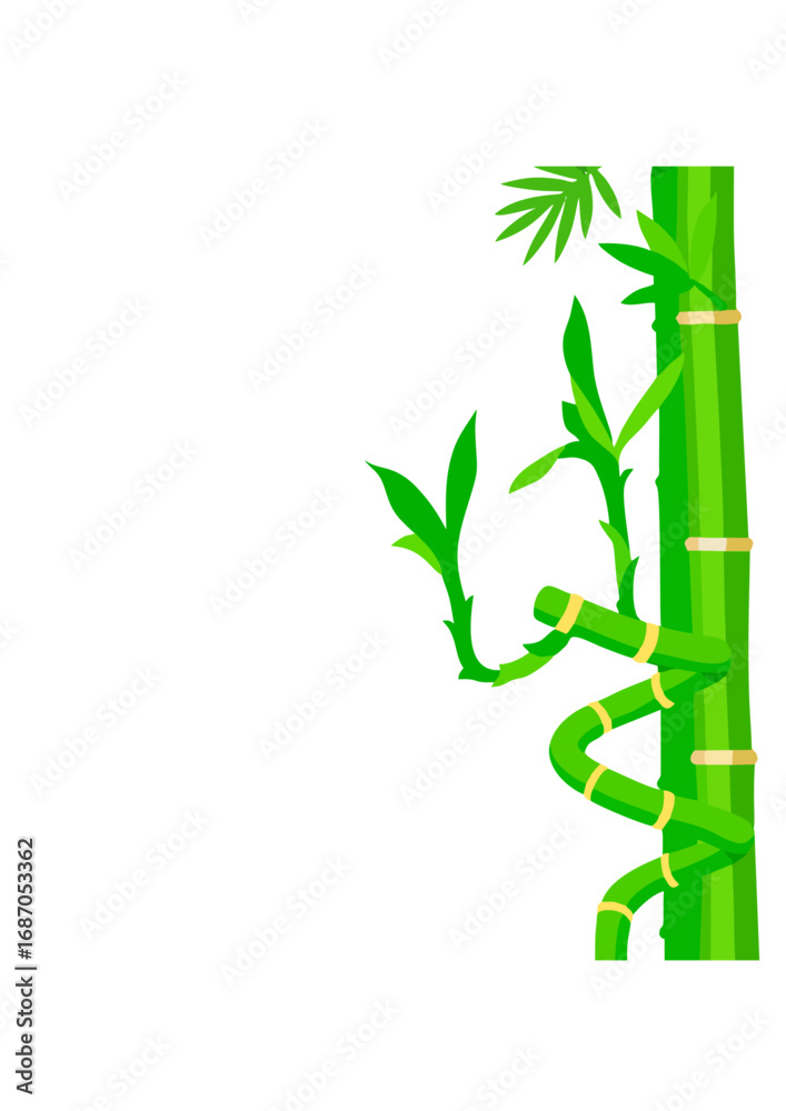 Fototapeta premium Realistic Spiral Bamboo Vector with Green Leaves