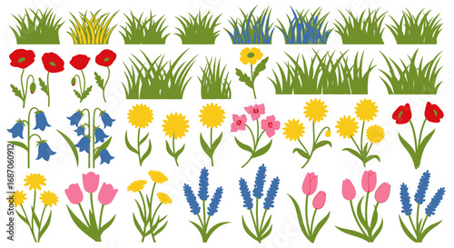 Botanical assortment with grass poppy tulip bellflower dandelion and abstract flowers