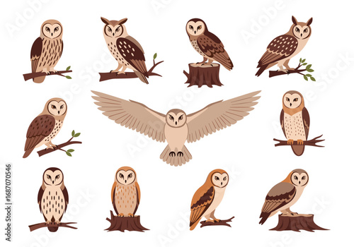 Collection of various owl species poses realistic pixel art vector illustration