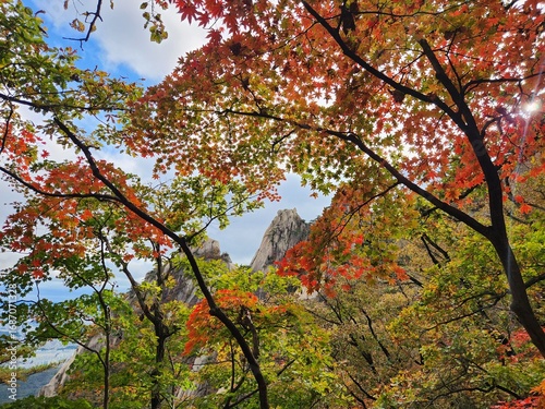 Wallpaper Mural bukhansan national park, dobong mountain, korea Torontodigital.ca