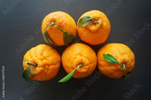 Hallabong, Jeju Island, Korea. Hallabong is grown only in Korea. Hallabong on a dark wooden background top view. Korean fruits, citrus fruits, concept. 한라봉.