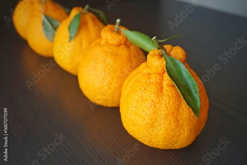 Hallabong, Jeju Island, Korea. Hallabong is grown only in Korea. Hallabong on a dark wooden background close up. Korean fruits, citrus fruits, concept. 한라봉.