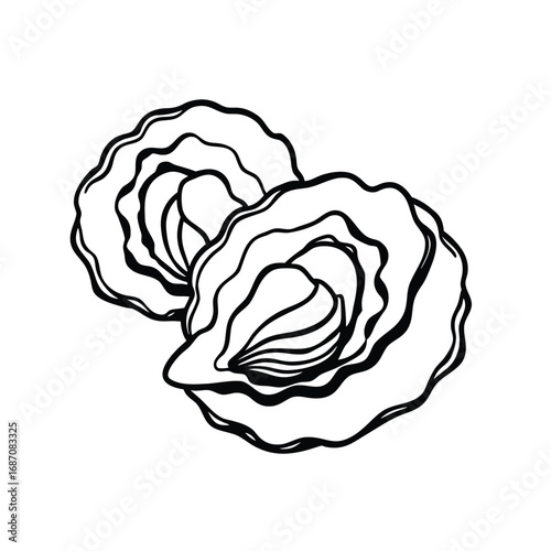 Minimalist Line Art of Open Oysters – Black and White Seafood Illustration with Textured Shells and Soft Body Detail
