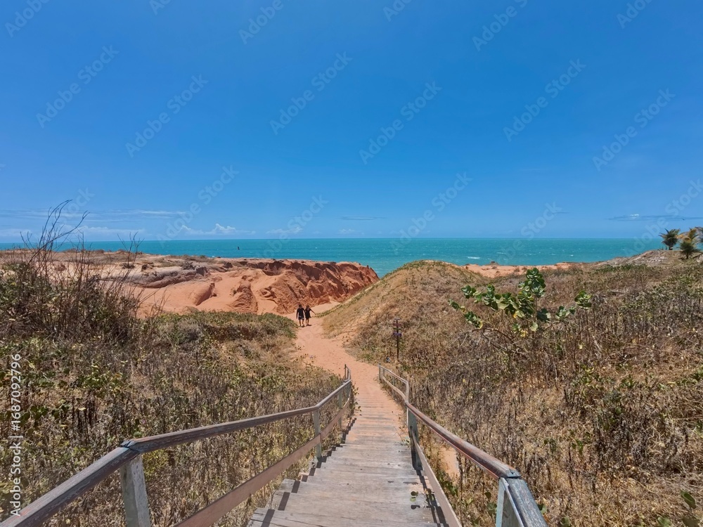 Obraz premium path to the beach