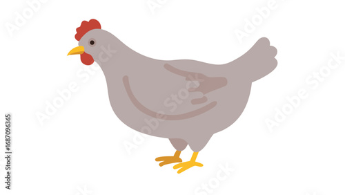 Farm Hen Bird Vector Illustration
