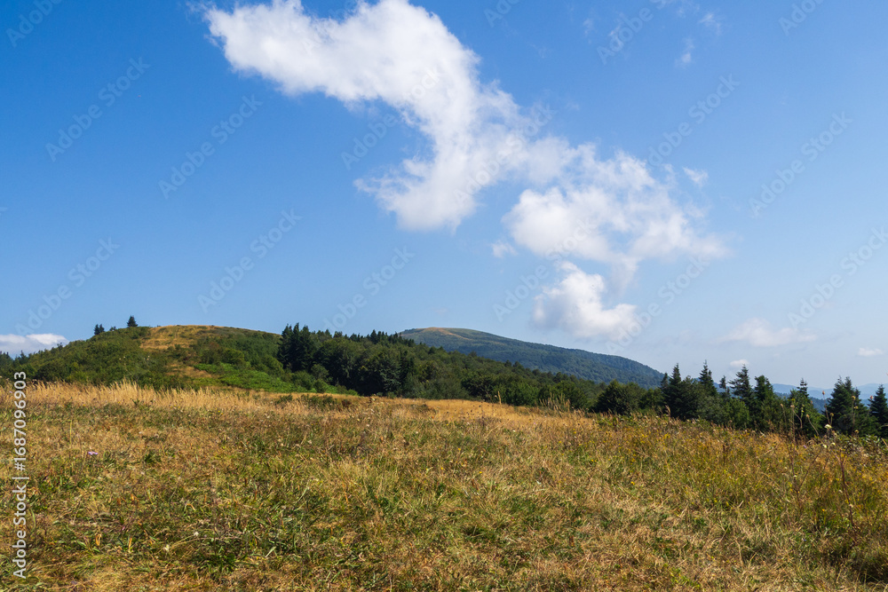 Fototapeta premium Seven-headed mountain range, Tuapse region, Russia.