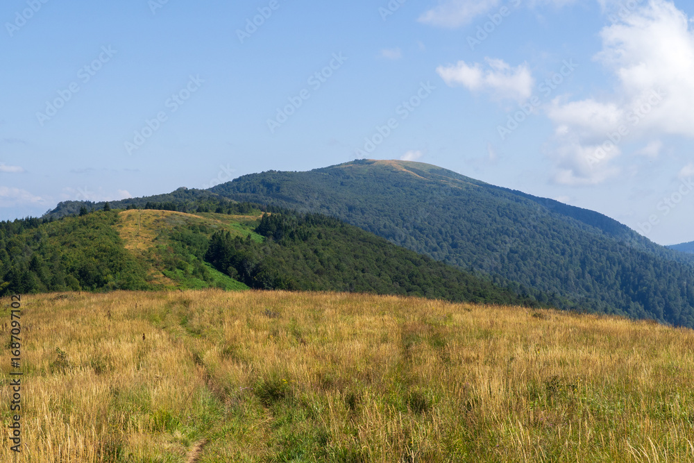 Fototapeta premium Seven-headed mountain range, Tuapse region, Russia.
