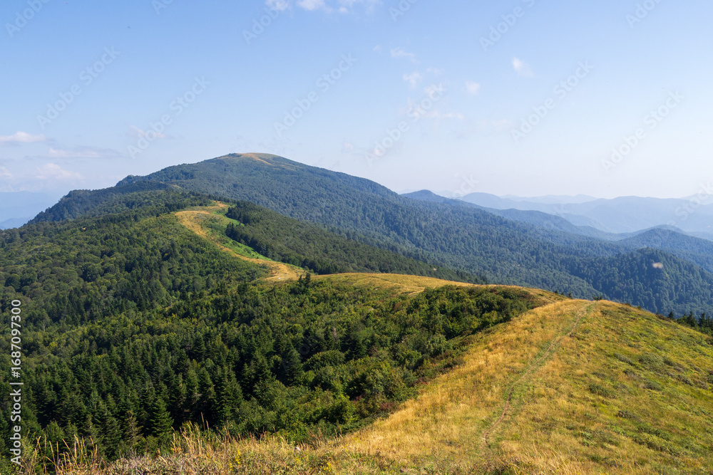 Naklejka premium Seven-headed mountain range, Tuapse region, Russia.