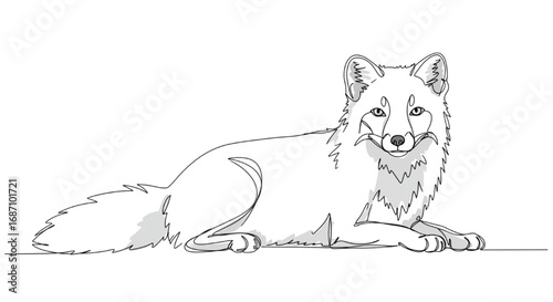 One line drawing of an arctic fox, minimal abstract line art