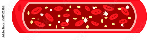 Blood vessel
