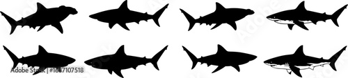 set of Shark silhouette vector set, fins, hammerhead, great white shark in black shapes, aquatic, marine life, predator icon, sea creatures, ocean wildlife