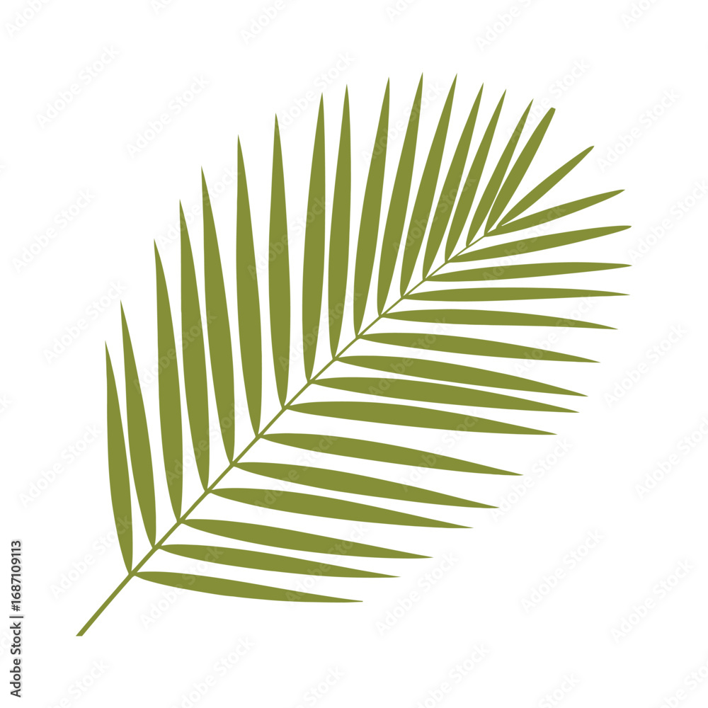 Fototapeta premium Green plant foliage including isolated palm and fern leaves on a white background