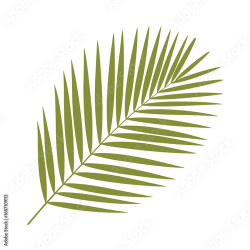 Green plant foliage including isolated palm and fern leaves on a white background