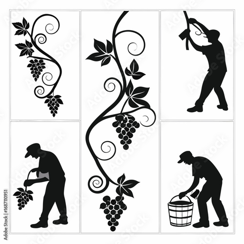 Grapevine decorative elements and vineyard workers