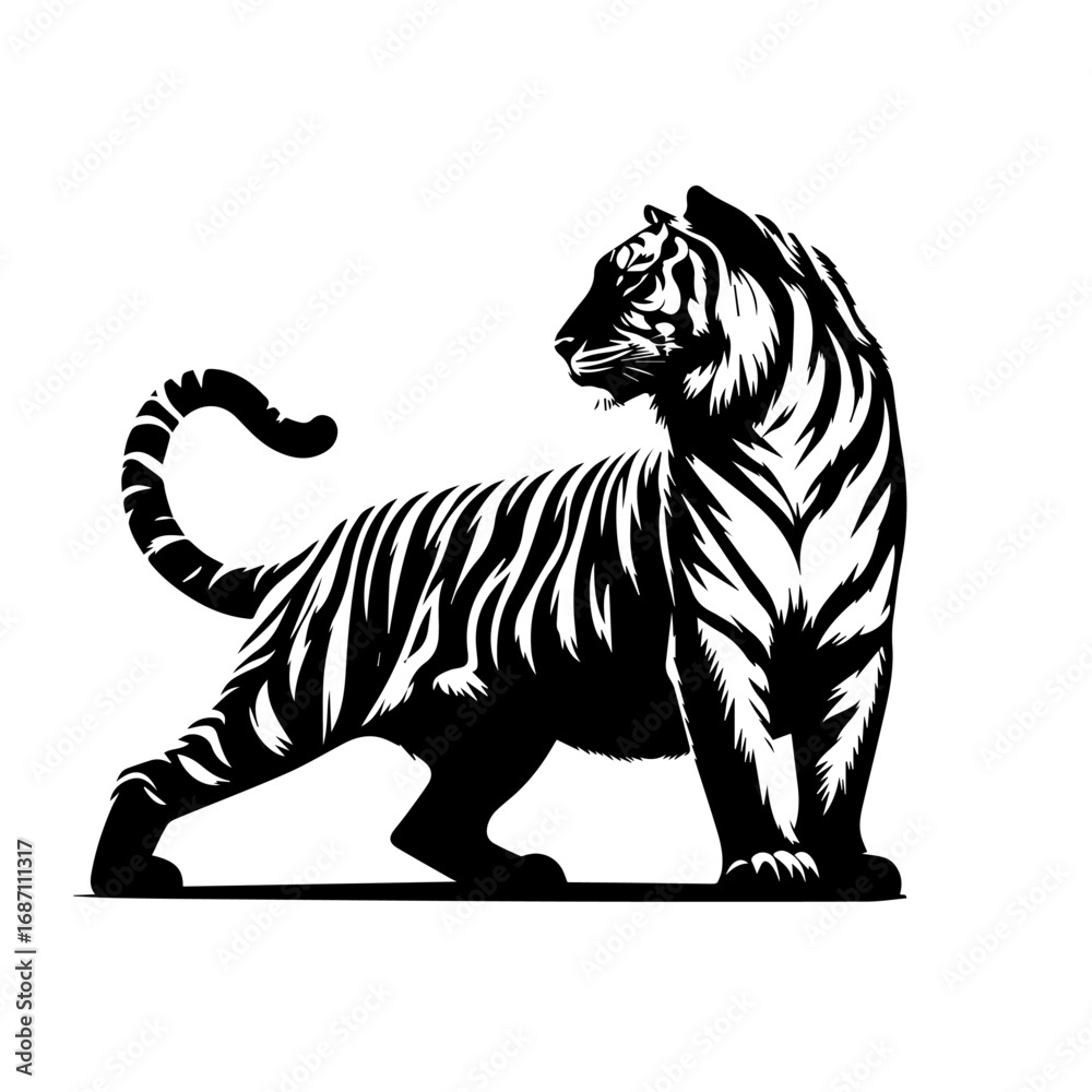 Fototapeta premium Fierce Wild Tiger Vector – Jungle Predator Animal Illustration