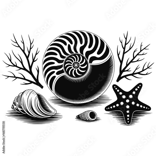 Abstract seashell vector pattern of a nautilus spiral shell design illustration