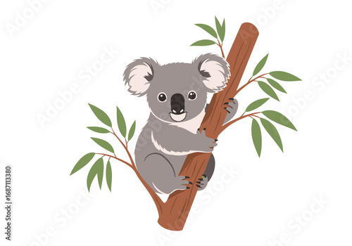 Cute koala bear clinging to a eucalyptus tree branch in australia