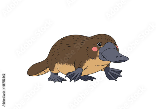 Discover the fascinating world of the unique platypus animal species
