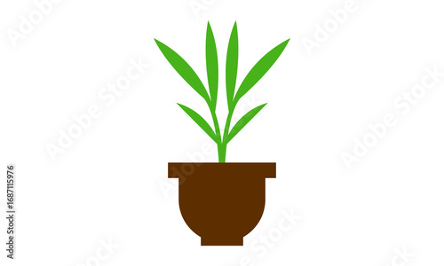 potted plant vector illustration