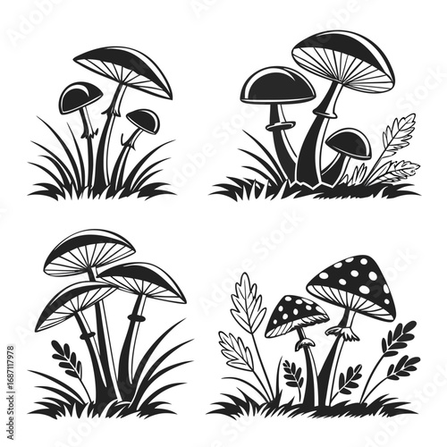 Mushroom clusters with foliage fungi toadstool
