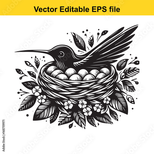 Black and white illustration of a hummingbird in a nest with eggs, isolated on white background