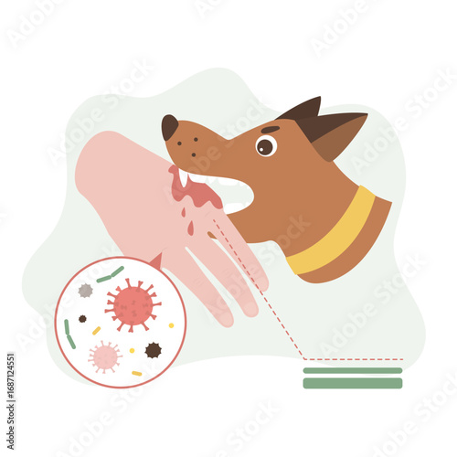 Rabid aggressive dog attacks and bites man on hand. Dog bites man transmits rabies bacteria virus. Medical care, immunization, fight with dangerous infection.