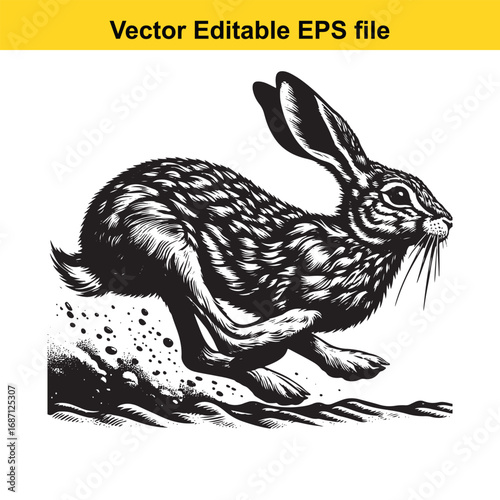 Detailed black and white illustration of a rabbit running, isolated on white background