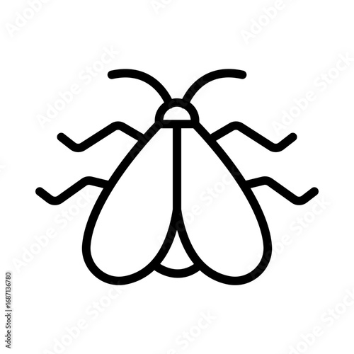 Moth