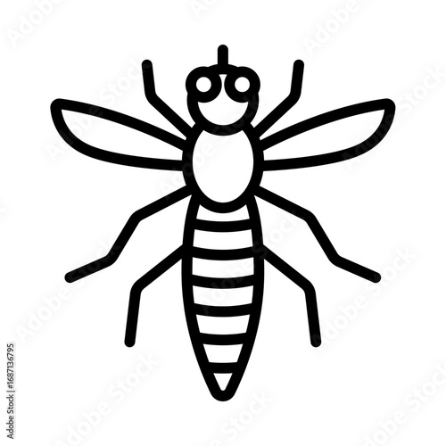 Robber Fly
