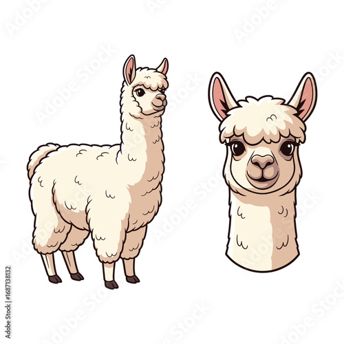Alpaca Illustration Fullbody and Face