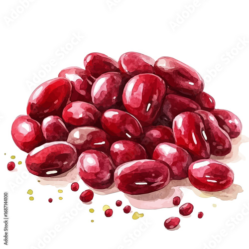 Kidney Beans, watercolor illustration vector, isolated on a white background.
