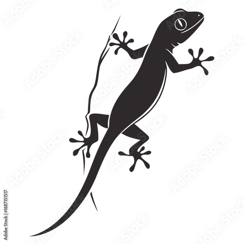 lizard on a branch