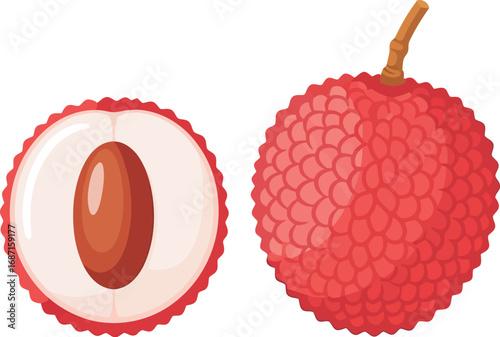 Vibrant lychee fruit slice isolated on white healthy tropical food ingredient vector