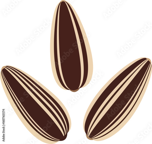 Three striped sunflower seeds a natural snack isolated on white food ingredient healthy eating concept vector