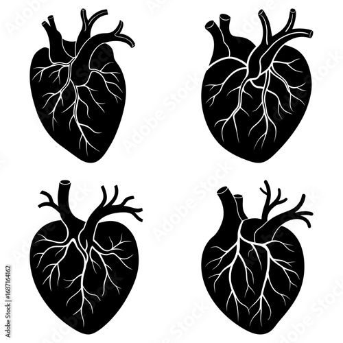 Four anatomical heart illustrations in black and white showing veins and arteries in detailed drawings