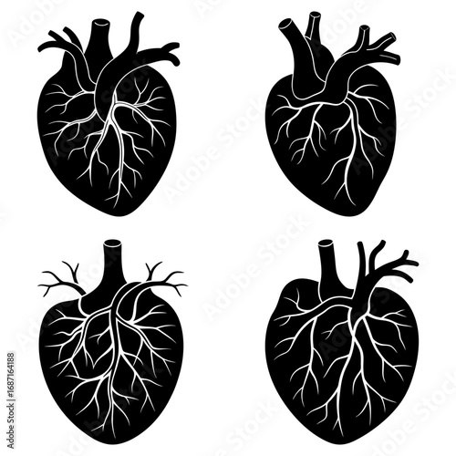 Four anatomical hearts displayed in black and white with detailed vein structures and clear silhouettes