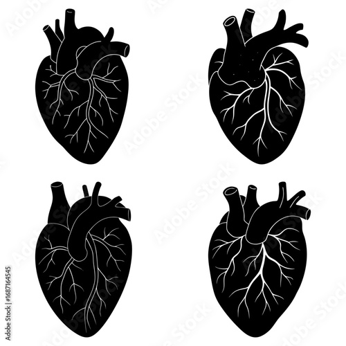 Four anatomical heart illustrations in black and white showing different orientations and perspectives