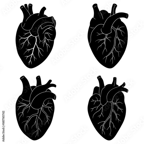 Four black anatomical heart illustrations with detailed veins on a white background in a square format
