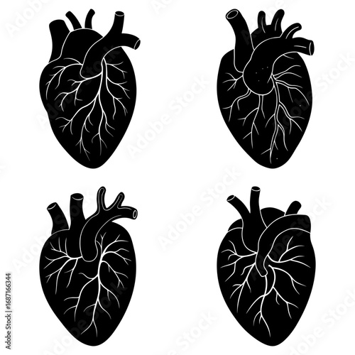 Four anatomical heart illustrations in black and white showcasing intricate vascular structures and heart anatomy