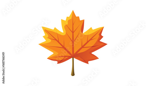 Bright orange maple leaf isolated on white background autumn season