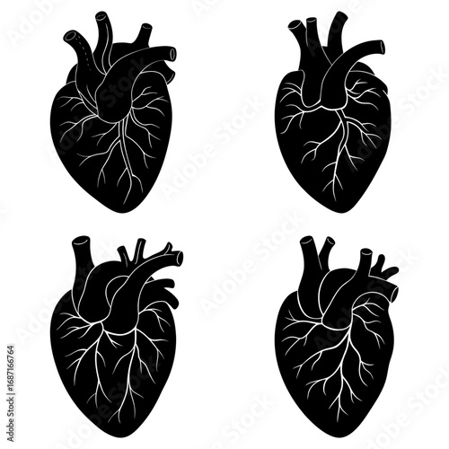 Four anatomical hearts in black and white showcasing detailed veins and arteries in a simple illustration