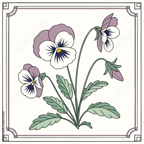 A beautiful vintage botanical illustration of a blooming purple and white pansy flower plant