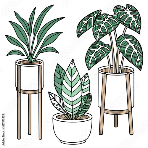 A trio of stylized potted houseplants with distinct leaf patterns in modern planters
