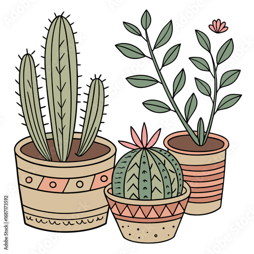 Charming illustration of potted cacti and leafy plants in decorative planters on a white background