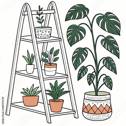 Collection of potted houseplants displayed on a ladder shelf and a large monstera plant in a decorative pot