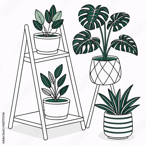 Collection of potted houseplants including a monstera and snake plant displayed on a shelf and stands