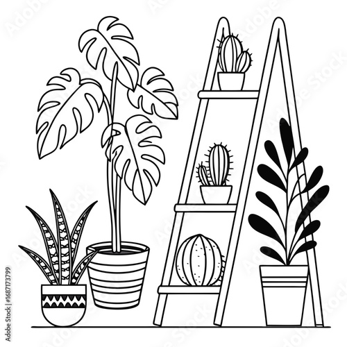 Collection of potted houseplants including monstera snake plant and cacti displayed on a shelf