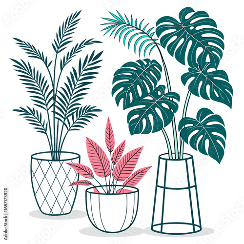 Collection of stylized potted houseplants including a monstera palm and tropical foliage in modern planters