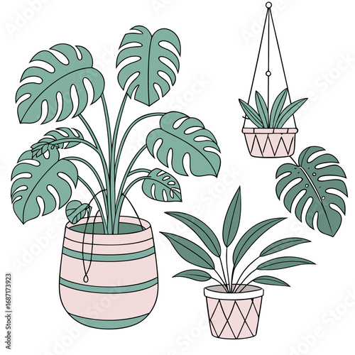 Collection of stylized potted houseplants including monstera and hanging plants in decorative pots